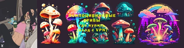 наркотики Каменка
