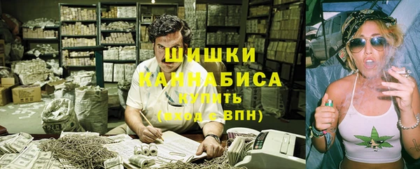 apvp Каменногорск
