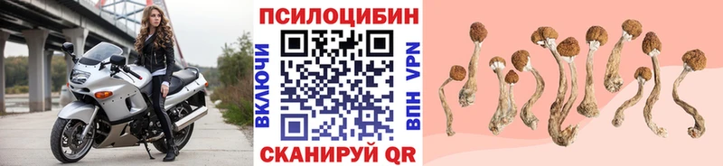 купить наркоту  ссылка на мегу вход  Галлюциногенные грибы прущие грибы  Омск 
